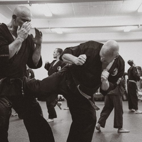 2019-08-26_19-03-03_BRTH_Canon EOS RP_45_2.8__MG_6714